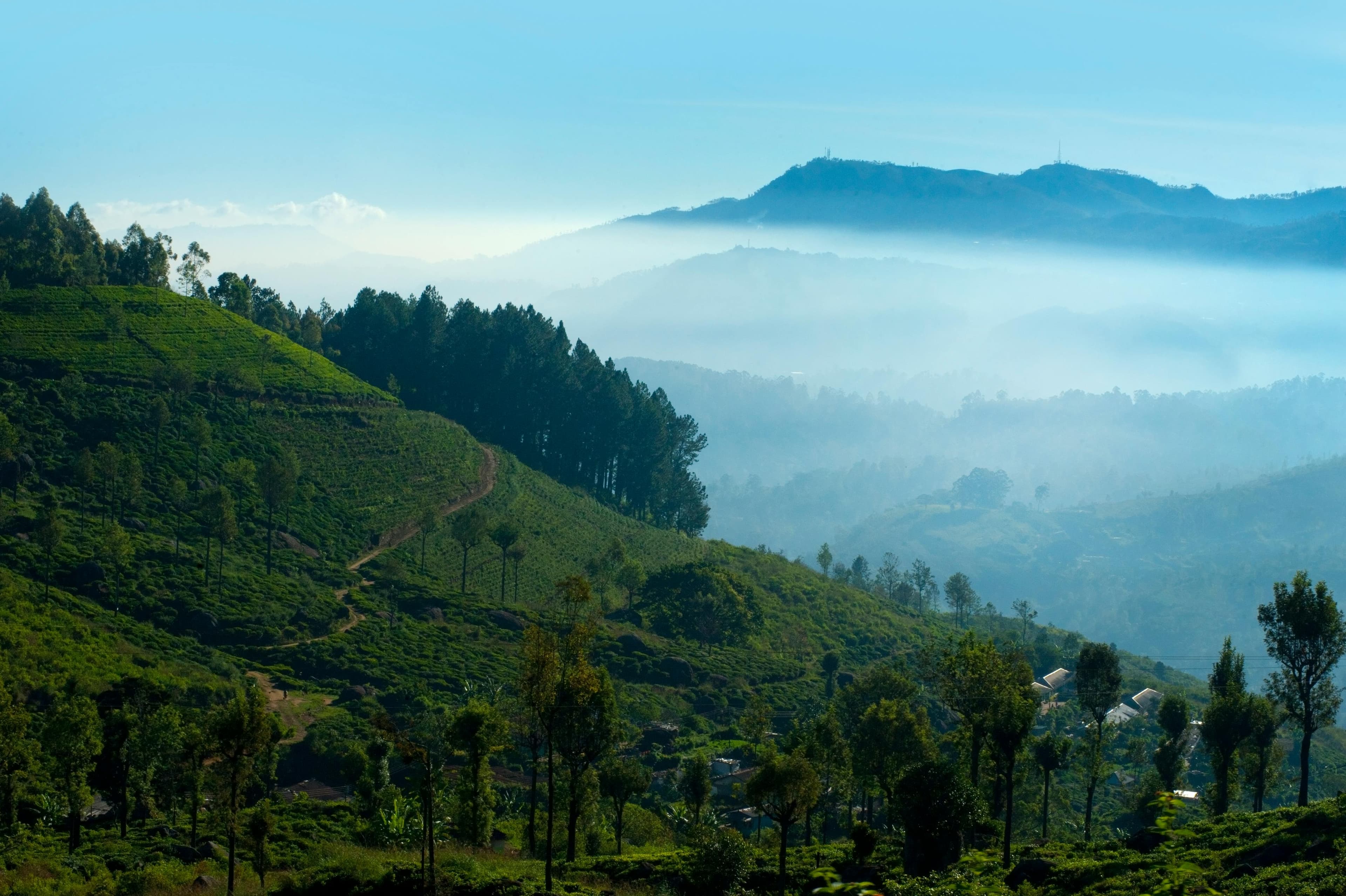 central-high-lands-sri-lanka